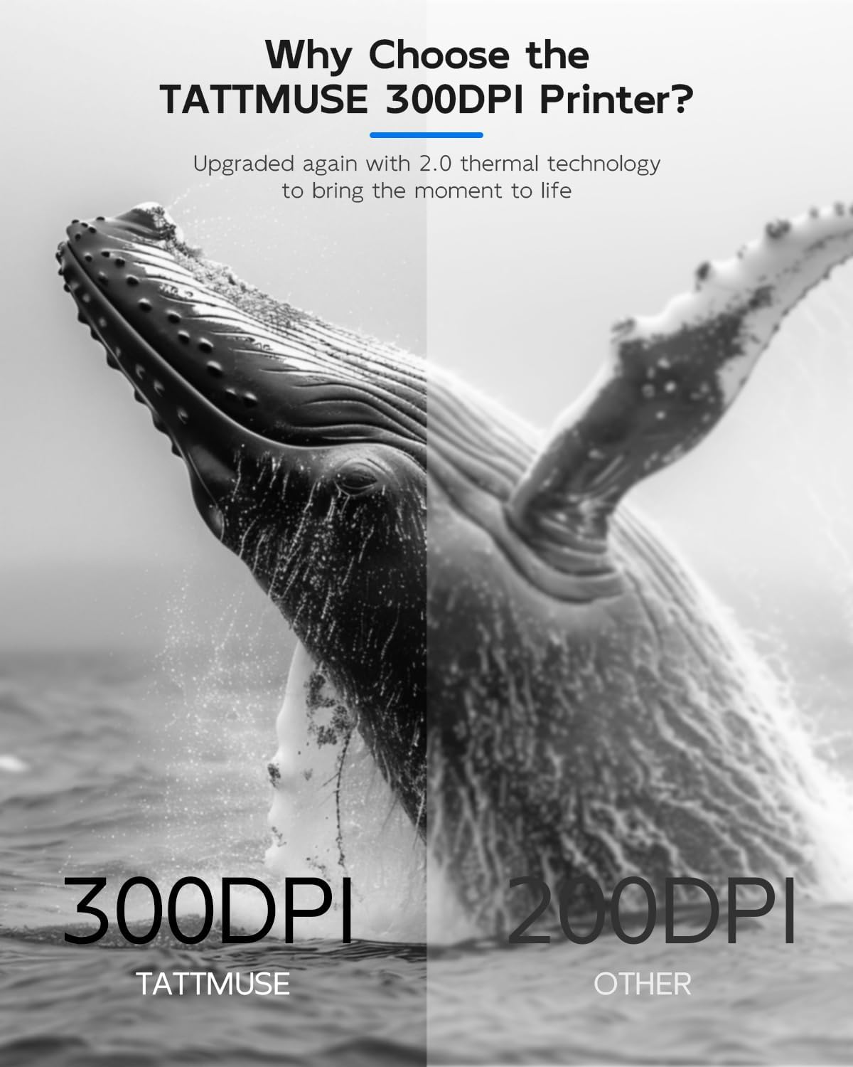 Inkless Portable Printer for Travel, Wireless Thermal Printer for Phone Laptop, Support 8.5" X 11"